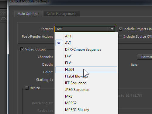 Choose the output video format