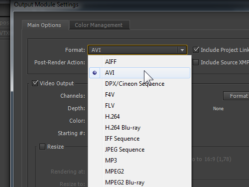 Choose output video format