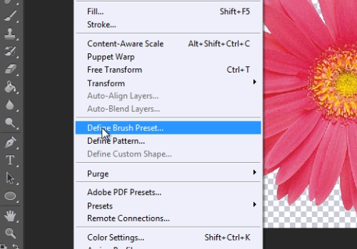 press “Define Brush Preset”