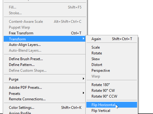 Flip the selected layers horizontally