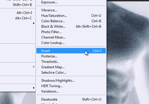 convert negative to positive in photoshop elements for mac