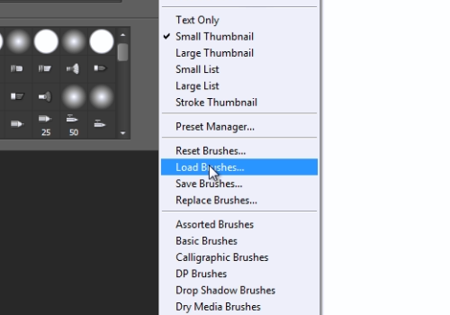 press “Load brushes”