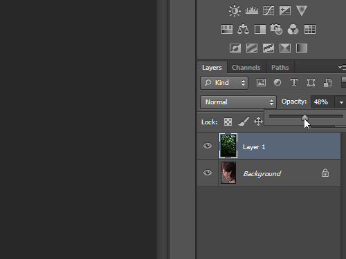 Set the layer opacity