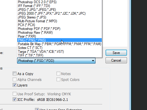 Select the file format