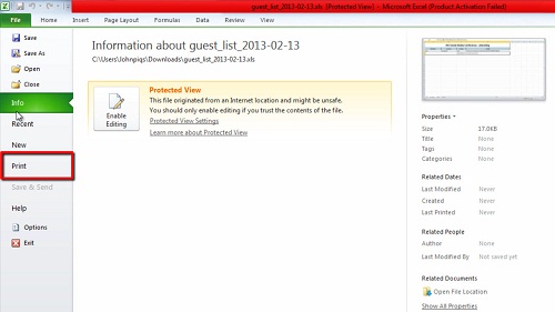 Opening the guest list in Excel for printing