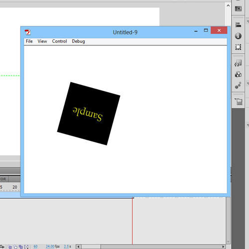 Flash Animation