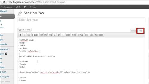 Inserting the JavaScript Into the Post