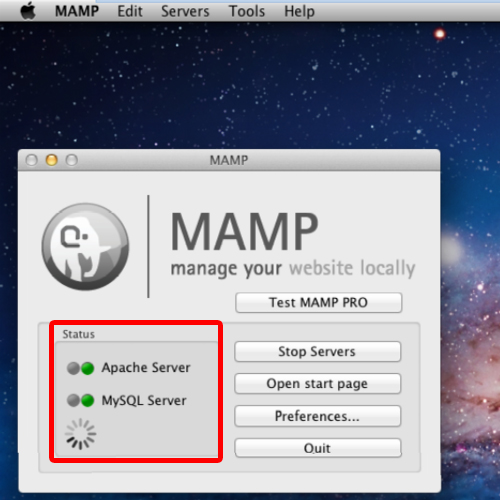 mamp install wordpress