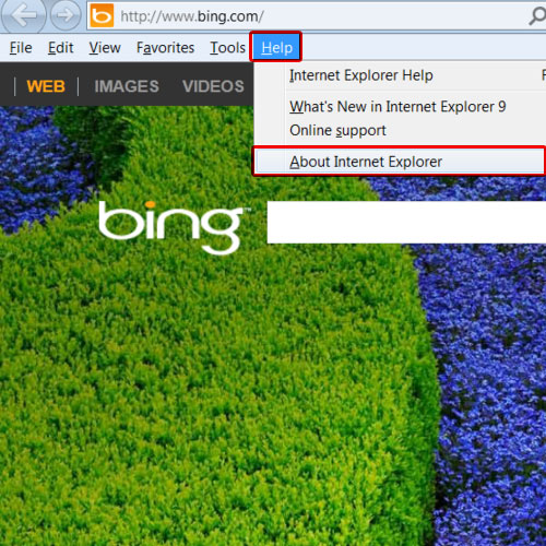 Use the menu bar to view IE version