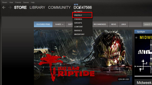 Navigating to your Steam profile