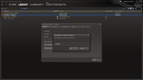 steam run as administrator launch option