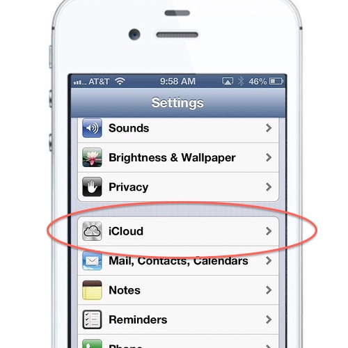Find the iCloud button in your Settings App