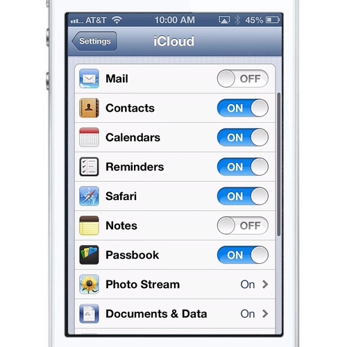 Select iCloud Services