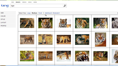 Searching Bing for images