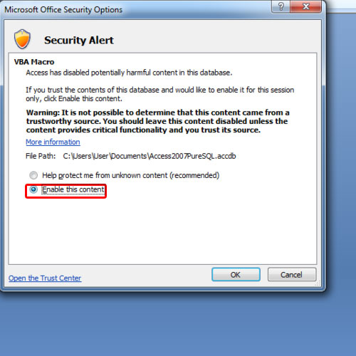 ms access password protection