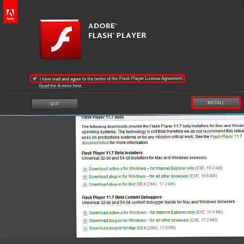 download and install flash player