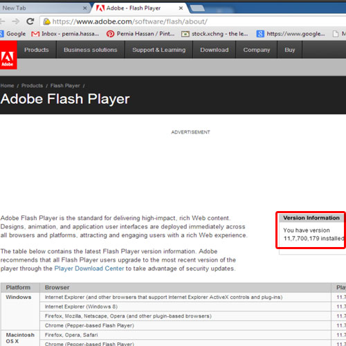 how to check what version flash player