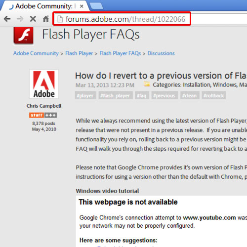 standalone flash player