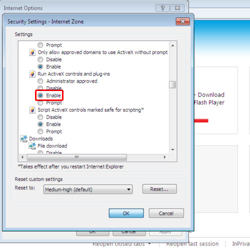 Enable activex controls settings