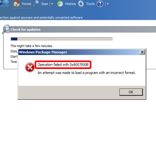 Windows Package Manager error