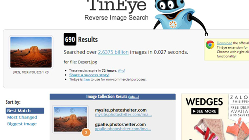 Search results on TinEye