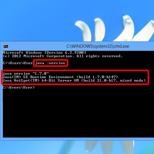 Check jre version command