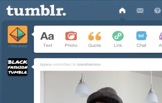 Pull up Tumblr Profile