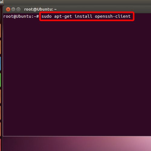 ubuntu install openssh