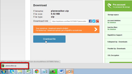 Downloading the file