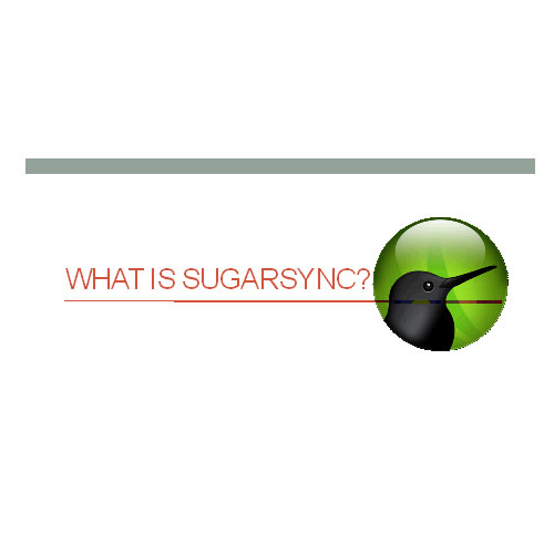 sugarsync customer service