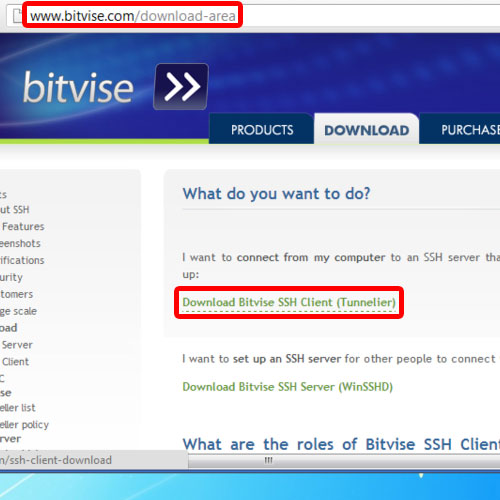 Bitvise Tunnelier Download