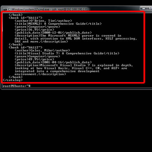 copy text from command prompt ssh windows