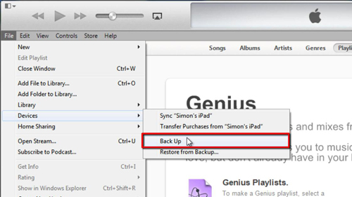 The backup option in iTunes