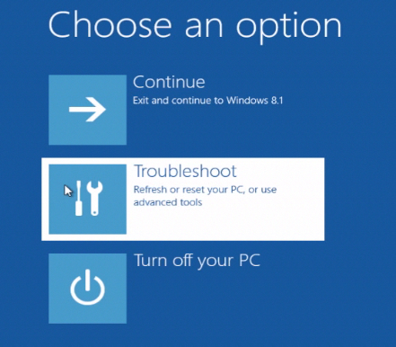 selecting „Troubleshoot”