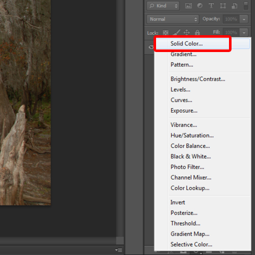 creating a solid color adjustment layer