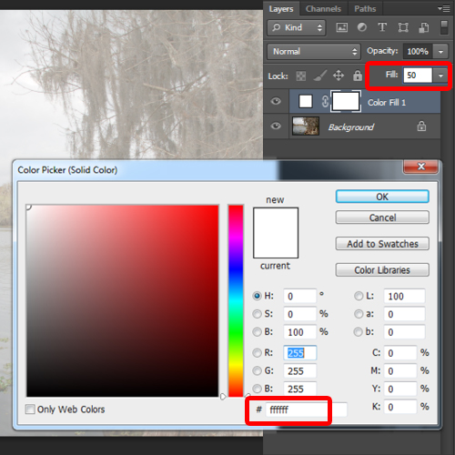 adjusting the solid color layer