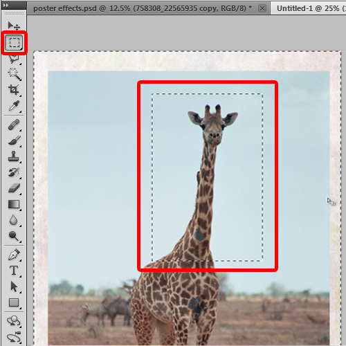 cropping out the giraffe image