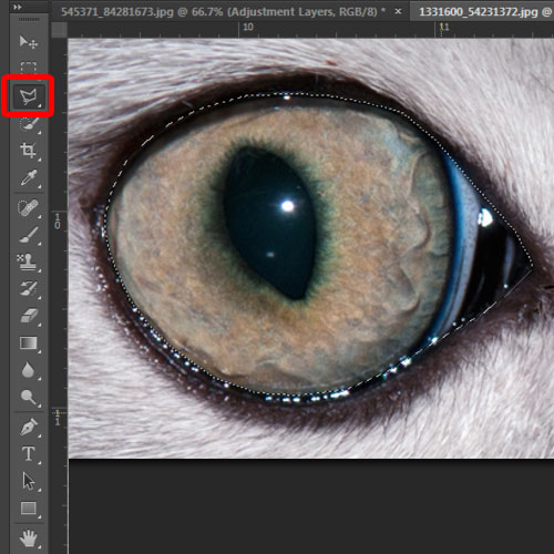 cropping out cat eyes