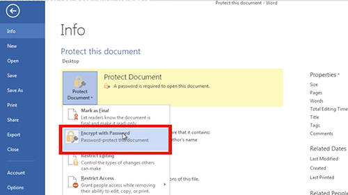 make 2010 word file secure by requiring a password