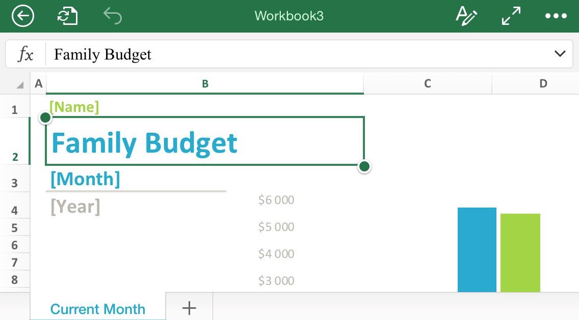 how to enable editing in excel on ipad