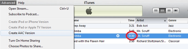 advanced menu in itunes