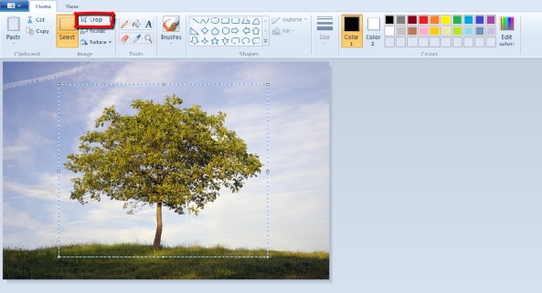 cut selected pixels in gimp for mac