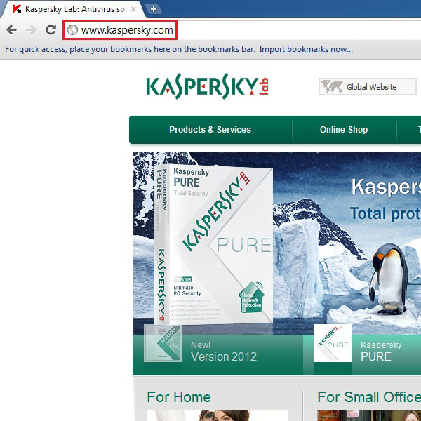 Open the Kaspersky website