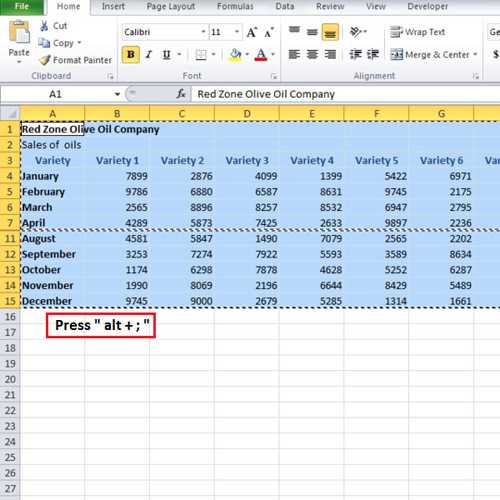 Copy data without hidden rows