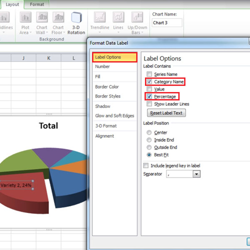 Insert Data labels