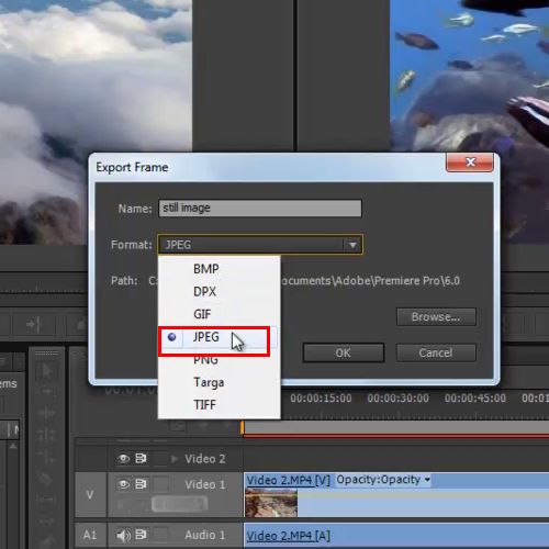 export to mpeg on adobe premiere pro cs6 for mac