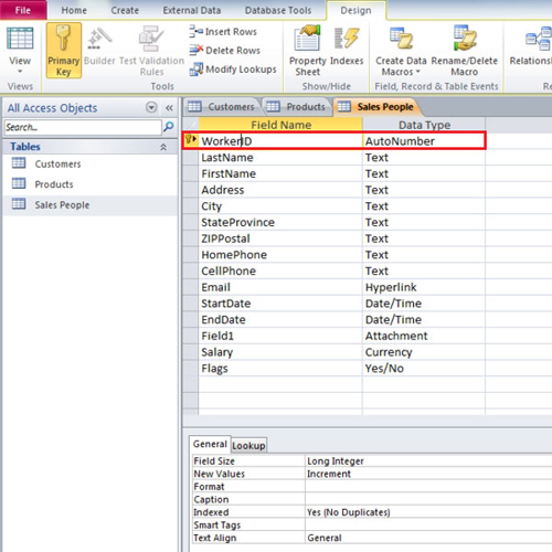 assigning primary key to auto number field