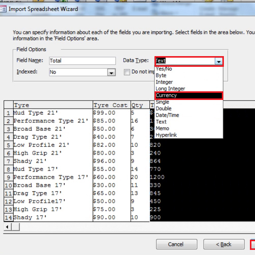 selecting data types for fields