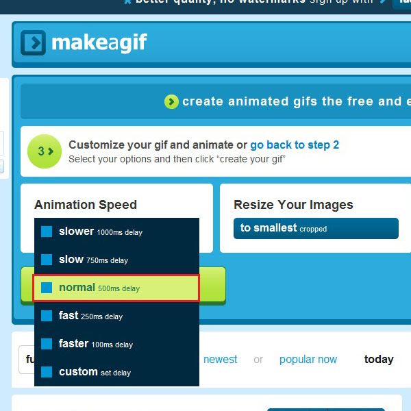 Choose the speed for animation