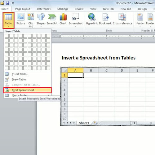 Excel spreadsheet in word